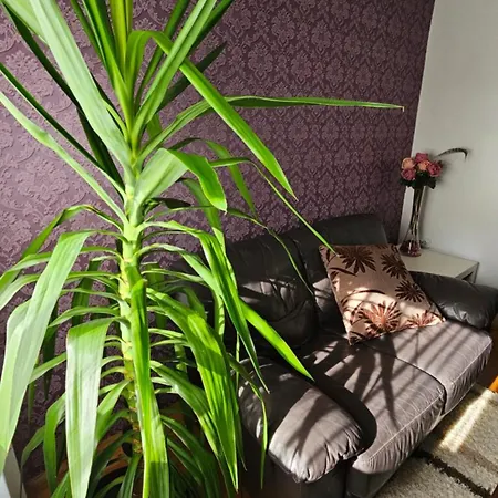 Apartamento S&s Centre
