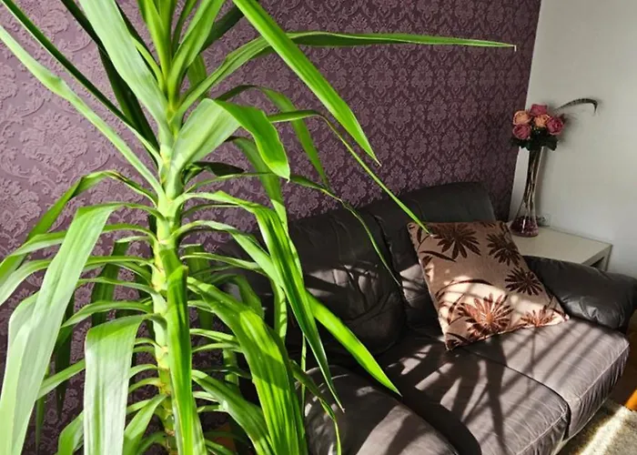 Apartment S&s Centre