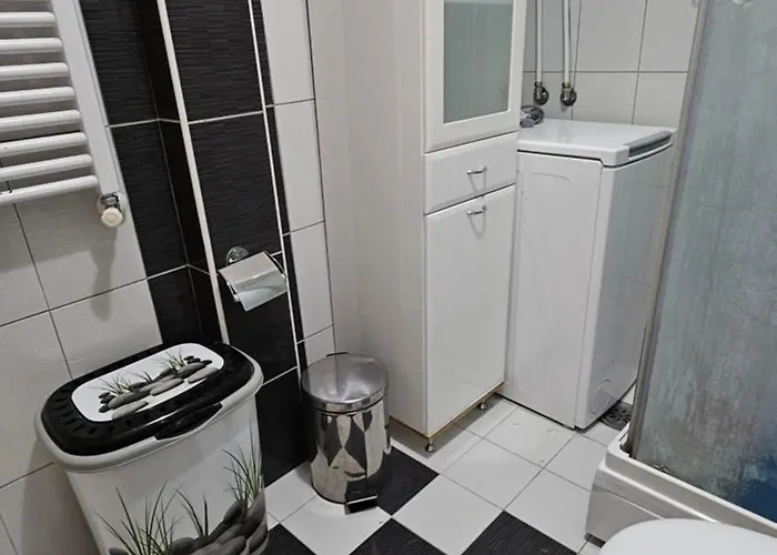 S&s Centre Apartament